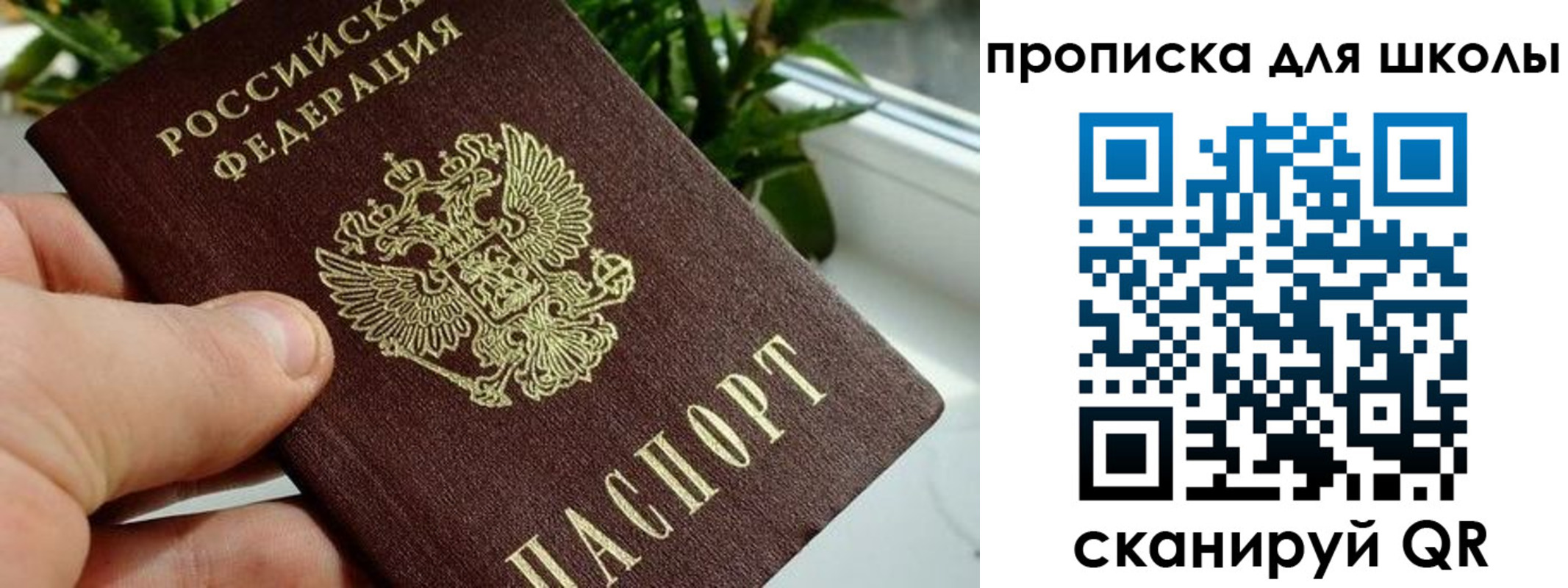 регистрация для дет. сада в Амурской области